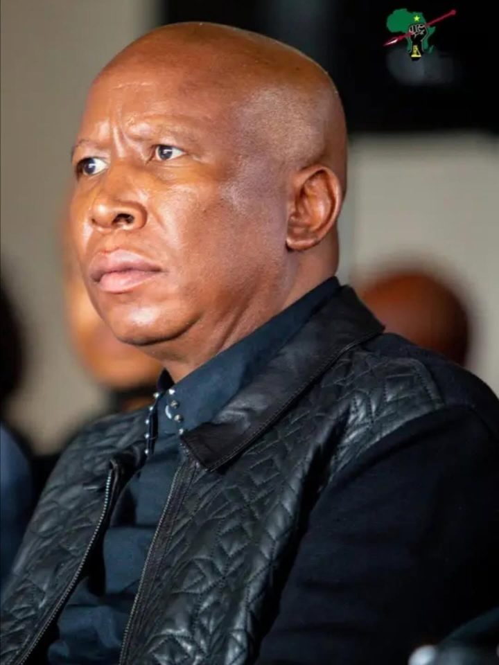 The Malema Verdict: Is South Africa’s Justice System on Trial?